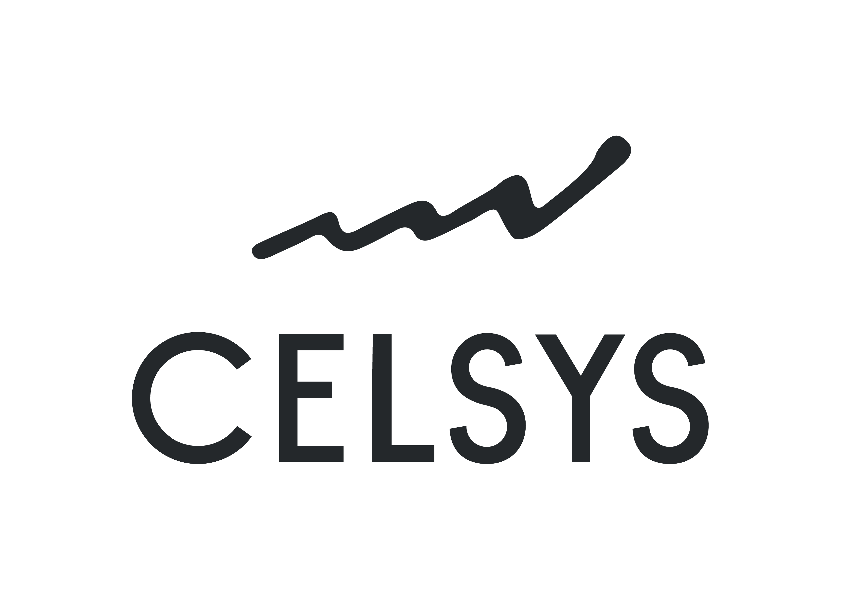 CELSYS